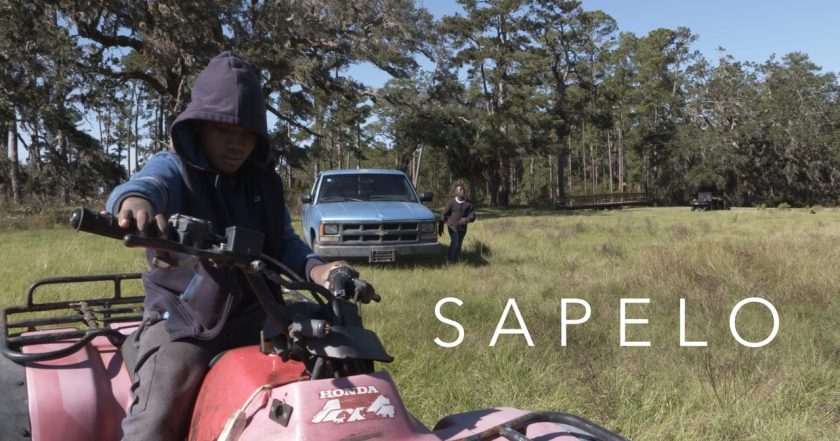 Sapelo