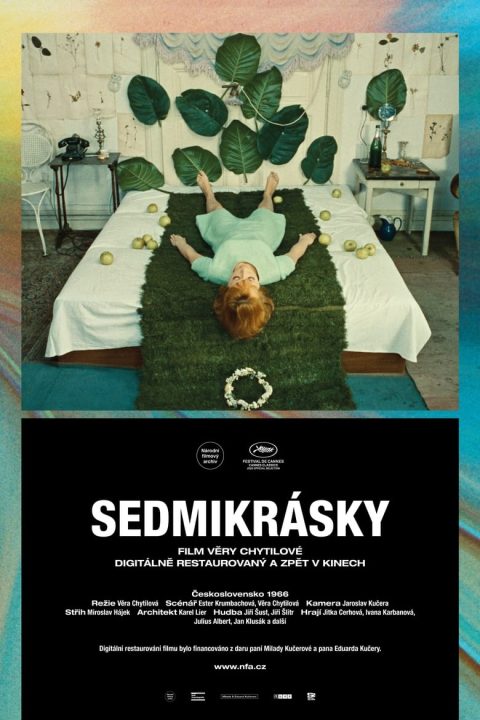 Sedmikrásky