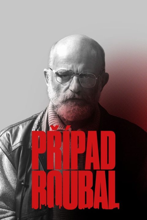 Plakat Případ Roubal