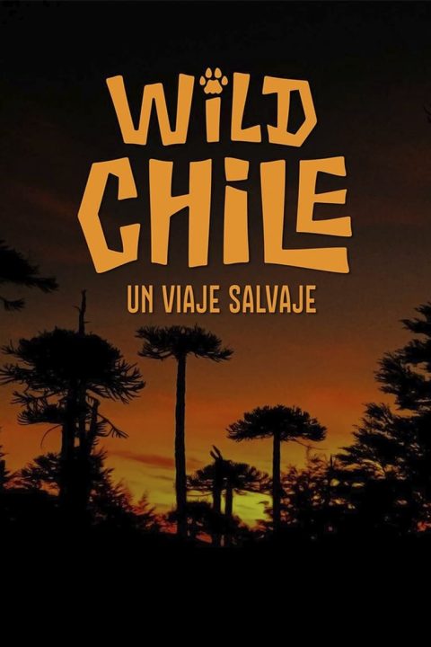 Wild Chile: Un viaje salvaje