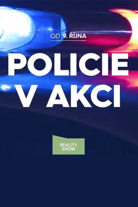 Policie v akci