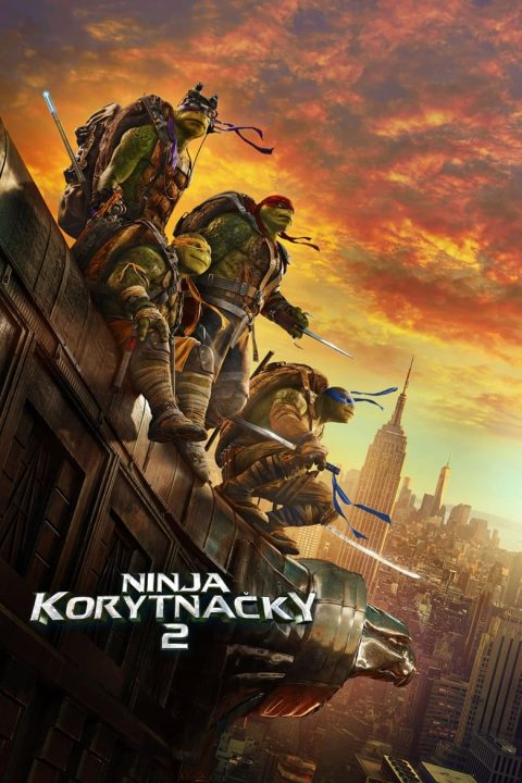 Ninja korytnačky 2