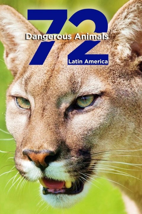 Plagát 72 Dangerous Animals: Latin America