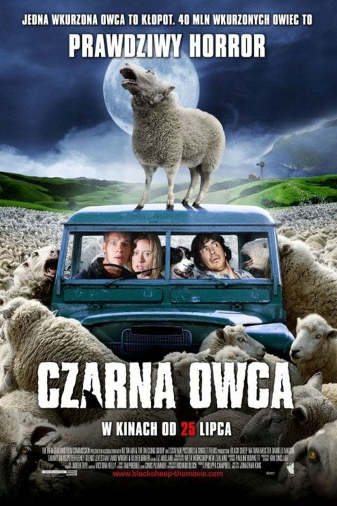 Plakat Czarna owca