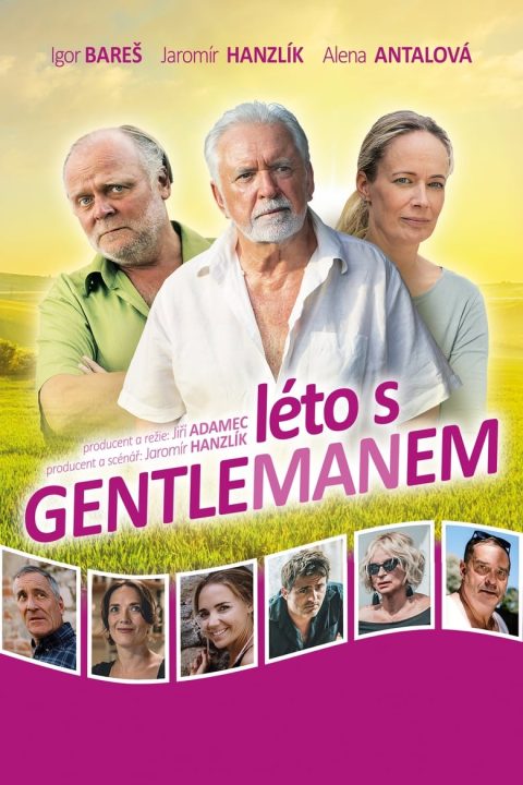 Plakat Léto s gentlemanem