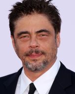 Benicio del Toro