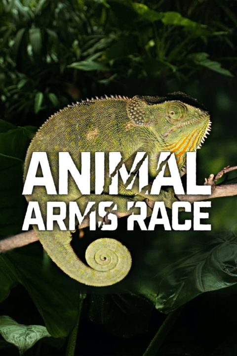 Plagát Animal Arms Race