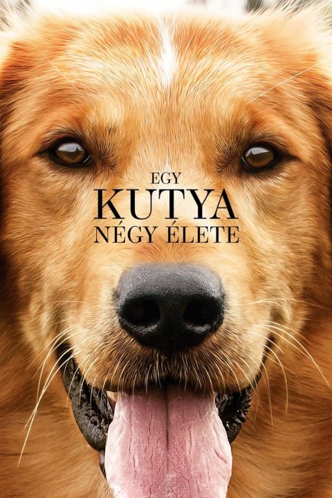 Poszter Egy ​kutya négy élete