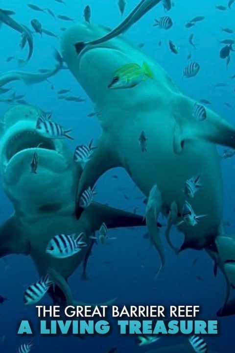 Plagát The Great Barrier Reef: A Living Treasure