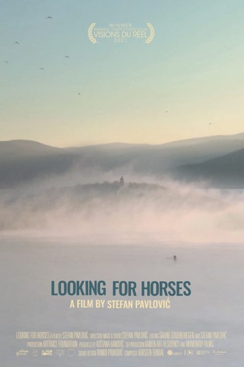 Looking for Horses