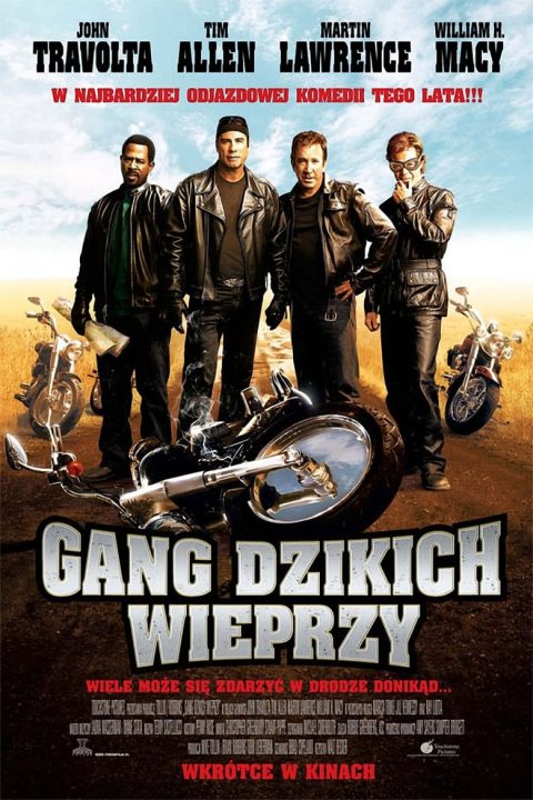 Plakat Gang dzikich wieprzy