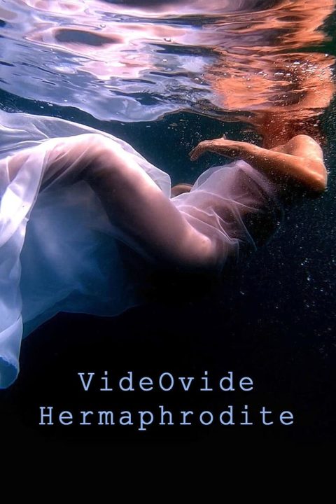 VideOvide Hermaphrodite