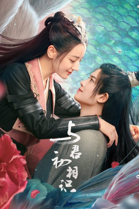 Plagát 与君初相识