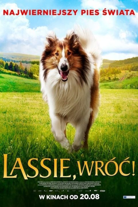 Plakat Lassie, wróć!