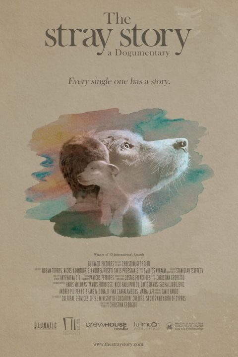 The Stray Story: A Dogumentary