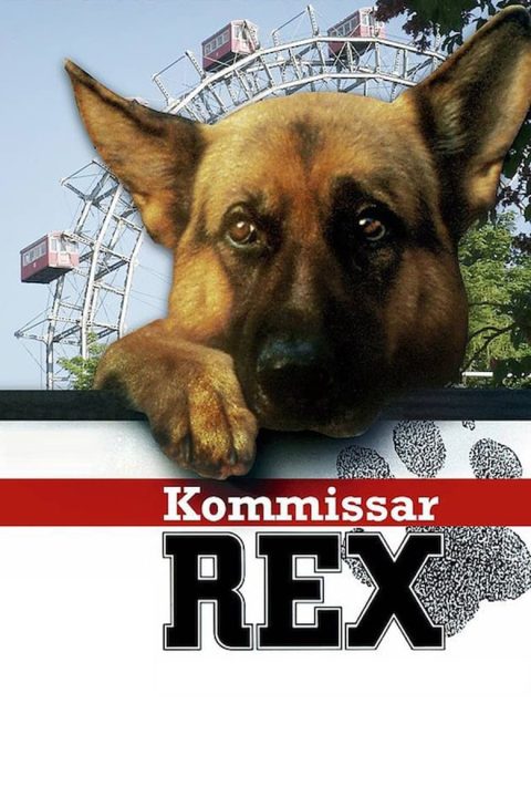 Komisarz Rex