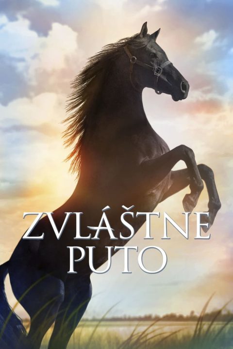 Zvláštne puto